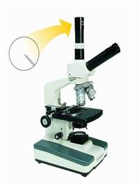 dual view microscope