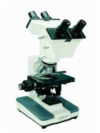 dual view microscope