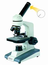 student microscope